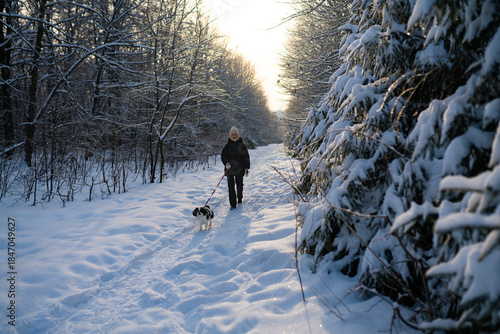 Winter forest walk with dog on leash