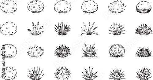 Hand Drawn Sketch Collection of Various Bush and Grass Plant Types for Landscape Design Keywords: plants, bushes, grass, nature, garden, landscape, design, sketch, drawing, illustration, botanical