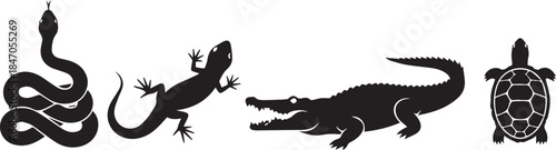 Diverse reptile silhouettes collection featuring snake lizard alligator and turtle icons
