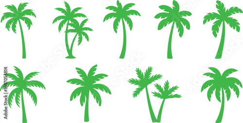 Green palm tree illustration set, tropical summer plant collection for beach landscapes, island nature design, vacation themes and outdoor graphics
