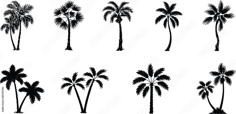 Obraz premium Palm tree silhouette collection featuring tropical coconut palms for beach landscapes, island scenery, summer travel themes and nature design projects