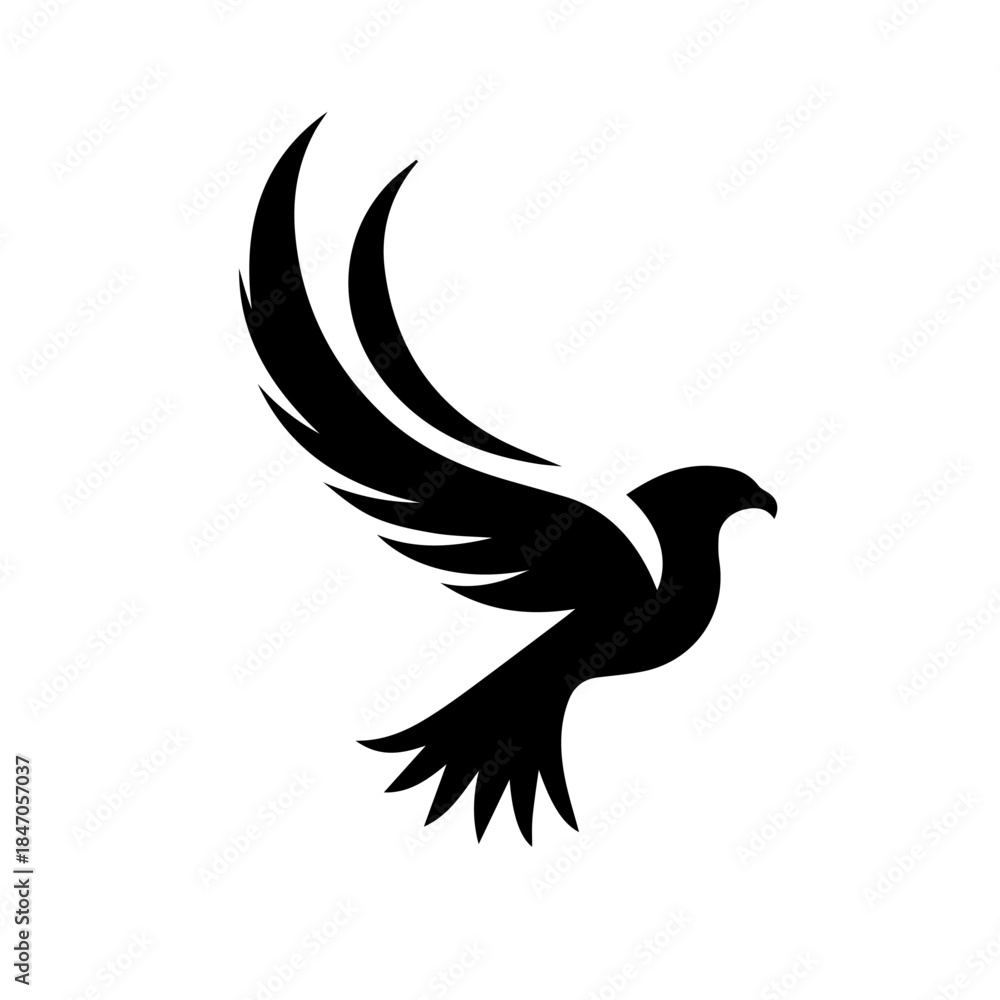 Obraz premium Hawk vector illustration