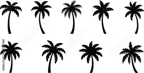 Palm tree silhouettes set with tropical coconut palms isolated on white for summer beach designs, travel themes and nature graphics
