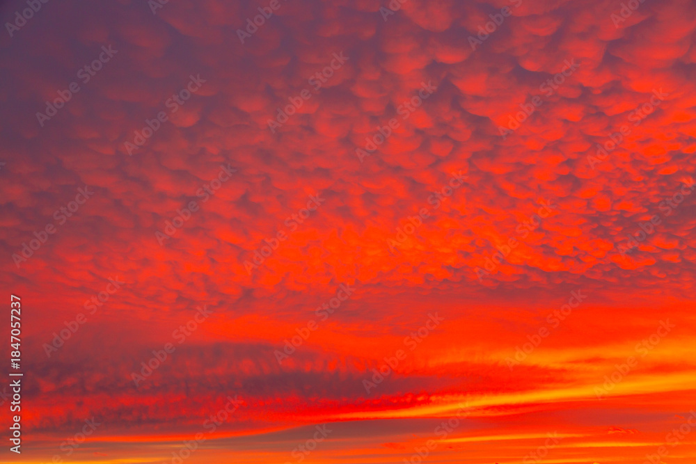 Obraz premium Vivid saturated beautiful sunset sky in red, orange and pink colors. Sunset background