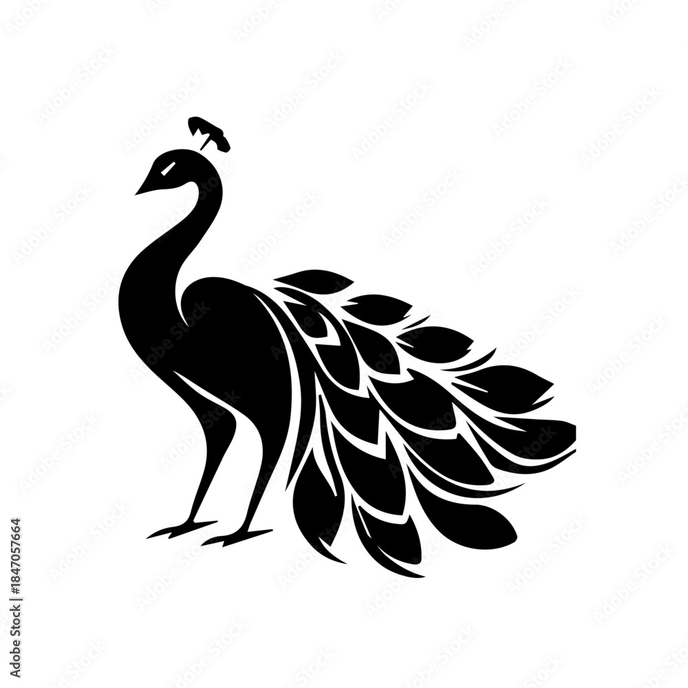 Fototapeta premium Peacock tattoo design