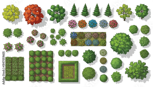 Hand-Drawn Top View Trees Vector – Isolated for Landscape, Architectural & Garden Projects
