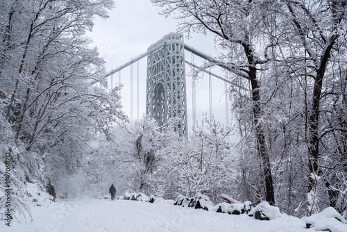 View of George Washington Bridge from Palisades Interstate Park in New Jersey