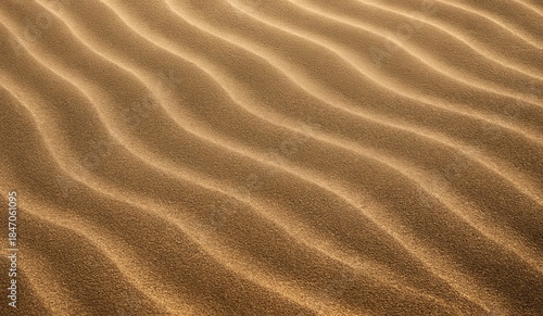 Detailed texture of golden sand dunes with repetitive wave patterns