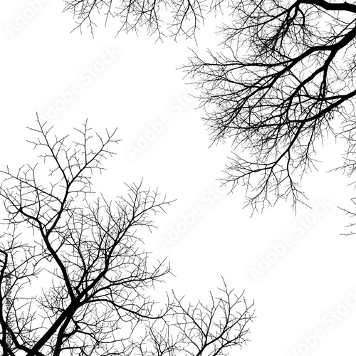 Wallpaper Mural tree silhouette vector Torontodigital.ca