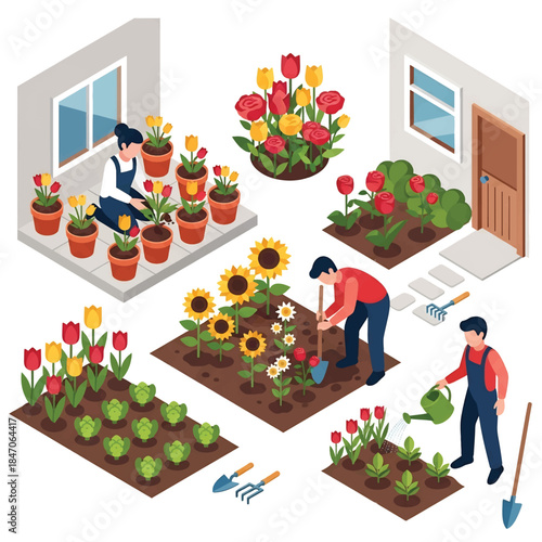 Isometric vector 3D view of people gardening at home, planting flowers in pots and soil, hobby lifestyle and sustainable home activity concept