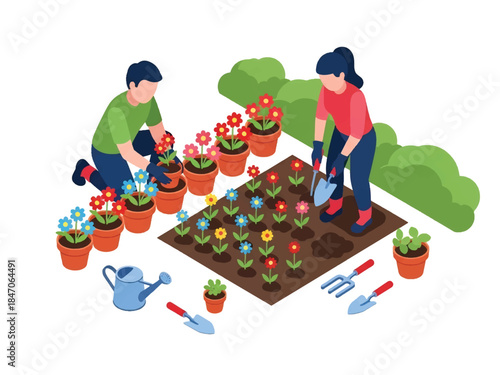 Isometric vector 3D view of people gardening at home, planting flowers in pots and soil, hobby lifestyle and sustainable home activity concept