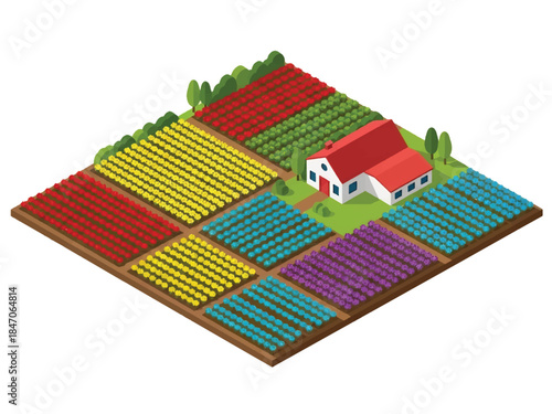 Isometric vector 3D view of large flower farming fields with blooming rows and farmers working, commercial floriculture and agriculture landscape