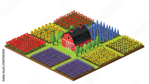 Isometric vector 3D view of large flower farming fields with blooming rows and farmers working, commercial floriculture and agriculture landscape