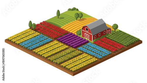 Isometric vector 3D view of large flower farming fields with blooming rows and farmers working, commercial floriculture and agriculture landscape