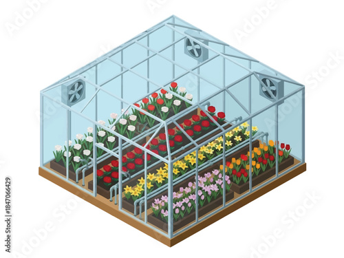 Isometric vector 3D view of a greenhouse flower production facility with organized rows of plants and controlled environment agriculture system