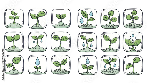 Green sprouts growing in square frames vector illustration concept