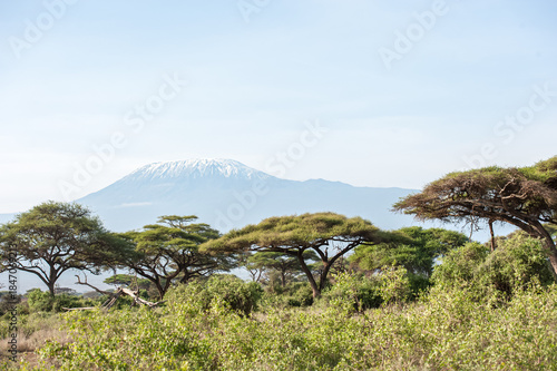 Evening atmosphere at Kilimanjaro
