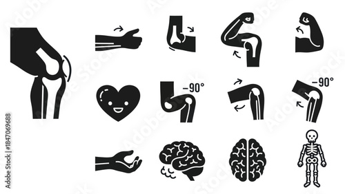 Human anatomy and body parts black icons set for health education