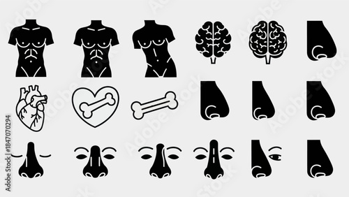 Human anatomy and organ icons set isolated on a white background