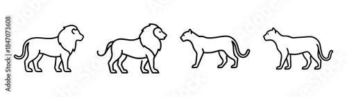 Set of four large cat outlines featuring two male lions and two lionesses side by side