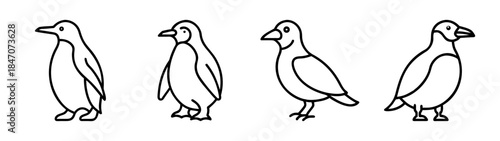 Simple line art illustrations showing different types of birds including penguins