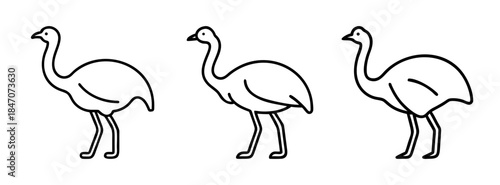 Simple black and white line drawing of three large flightless birds resembling emus standing side by side