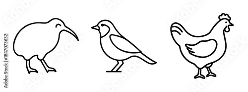 A minimalist set of three bird outline icons including kiwi, sparrow, and chicken