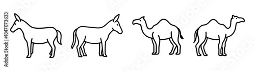 A collection of simple line art illustrations featuring two donkeys and two dromedary camels