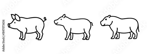 Line art illustrations of a pig, a tapir, and a hippo, showcasing different animal profiles