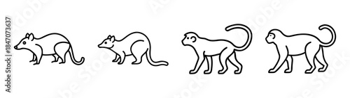 Black and white line art vector illustration featuring opossum and monkey silhouettes