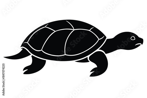 crawling turtle vector icon silhouette