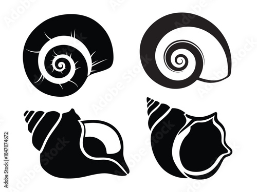Collection of elegant seashell silhouettes with spiral patterns in a minimalist black and white design