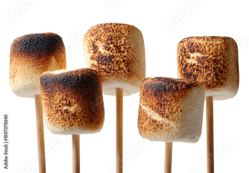 Five perfectly toasted marshmallows on sticks ready for s'mores or campfire enjoyment