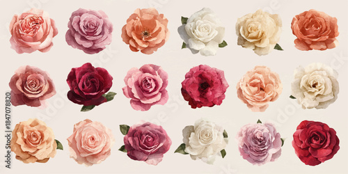 A collection of vibrant and elegant paper roses in various colors and styles