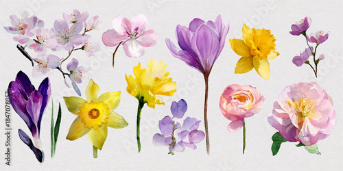 A beautiful and diverse collection of flowers painted in watercolor, featuring various species including daffodils, roses, tulips, and cherry blossoms.