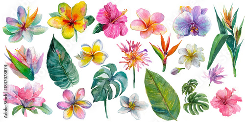 A stunning collection of colorful hibiscus and bird of paradise flowers arranged on a textured, light gray background.