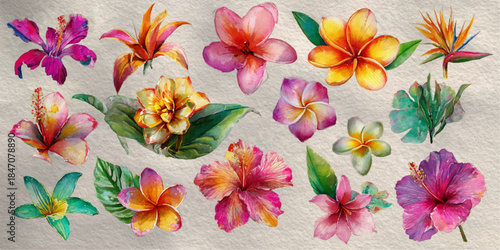 Vibrant watercolor collection of tropical flowers and exotic botanical elements