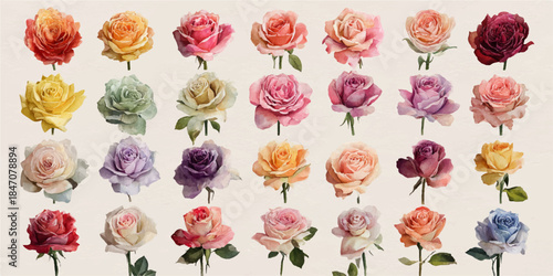  array of roses in numerous vibrant and pastel colors, each displayed on its own stem.