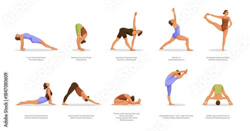 Set of women performing various yoga poses with English and Sanskrit names, flat graphic style, on a white background. Concept of yoga practice. Vector illustration