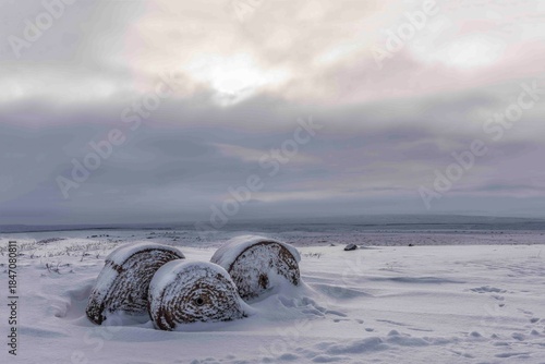 Hay bales covered in snow on winter landscape