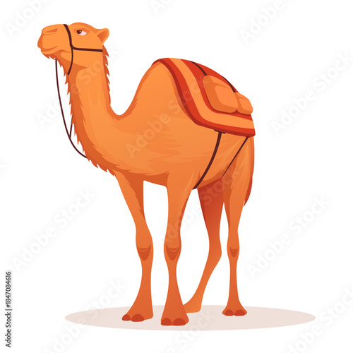 Cartoon style camel with a saddle and reins, shown in side view on a white background. Concept of desert animal and travel. Vector illustration
