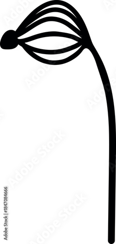 Black silhouette of spruce sapling with needles
