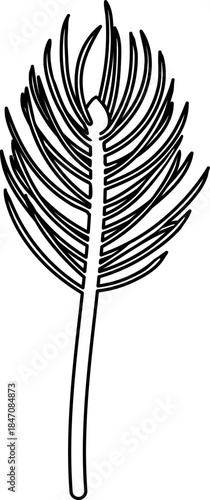 Coloring page with spruce sapling with needles