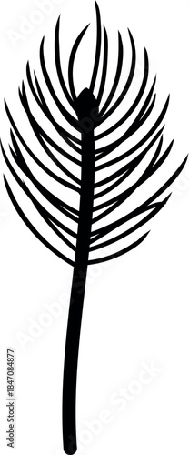 Black silhouette of a spruce sapling with needles.