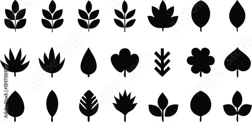 Set of various black leaf icons and silhouettes for design