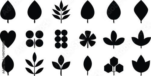 Set of 15 different black leaf silhouettes and icons for design
