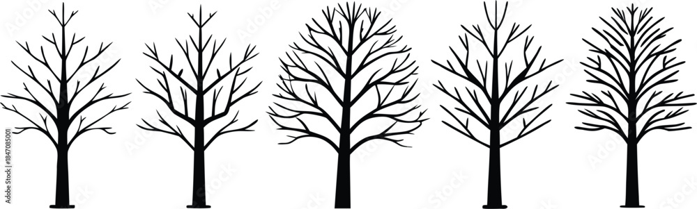 Obraz premium Set of five bare tree silhouettes in different shapes