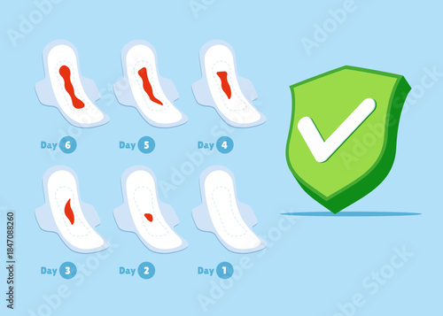 Menstruation cycle with with green check mark. System in normal. Critical days. Vector female health illustration.
