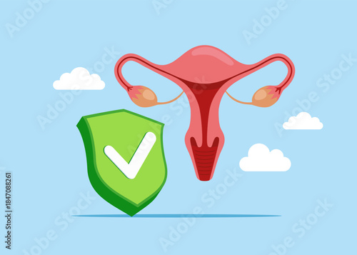 Reproductive system of women system in normal with green check mark. Reproductive system of disease research. Flat vector illustration