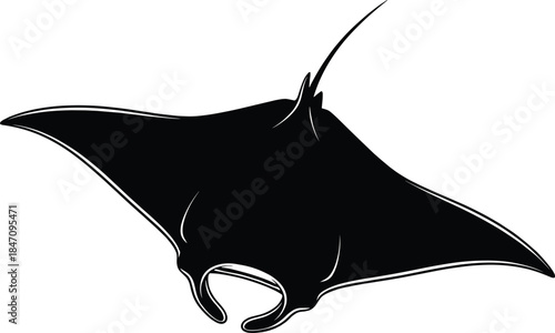 Black silhouette of a manta ray swimming fish ocean manta ray, black silhouette, fish, ocean, sea creature, swimming, underwater, marine life, stingray, fins, tail, white background, black and white, 
